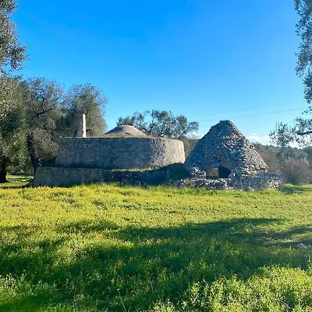Luxus With Swimmingpool, 1-6 P., Villa Carovigno