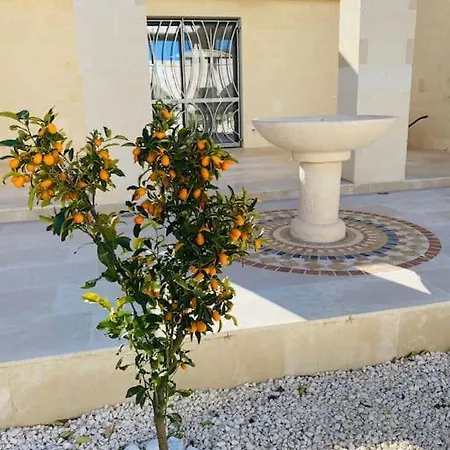 Luxus With Swimmingpool, 1-6 P., * Carovigno